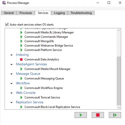 Process Manager — стан служб