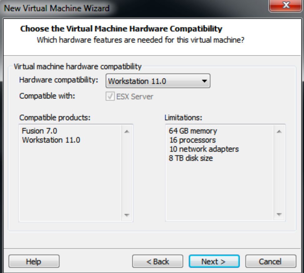 VM version